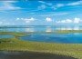 Florida Bay and Everglades