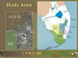 evergladesstudyarea