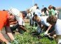 Millenium Middle School students and the Kiwanis Club of Tamarac work on the city's community garden.